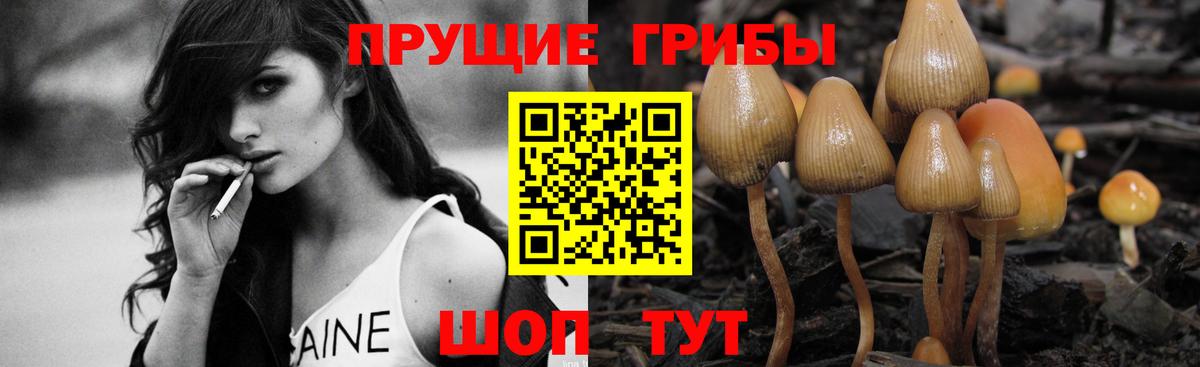 Чайковский  Галлюциногенные грибы ЛСД  Вход с VPN 